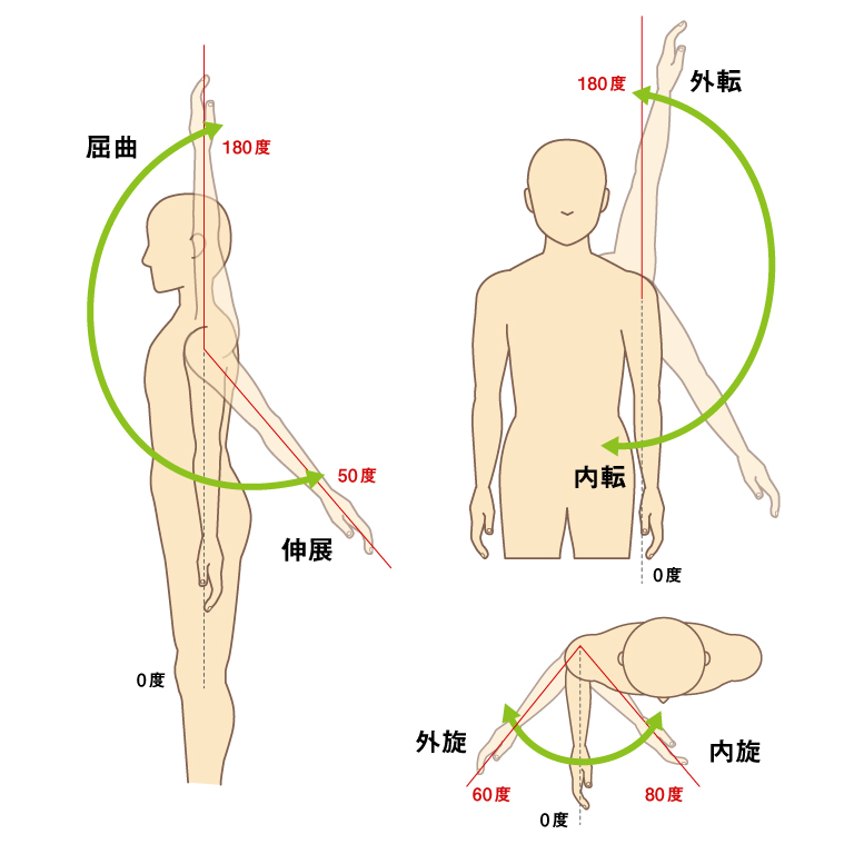 腕の動き