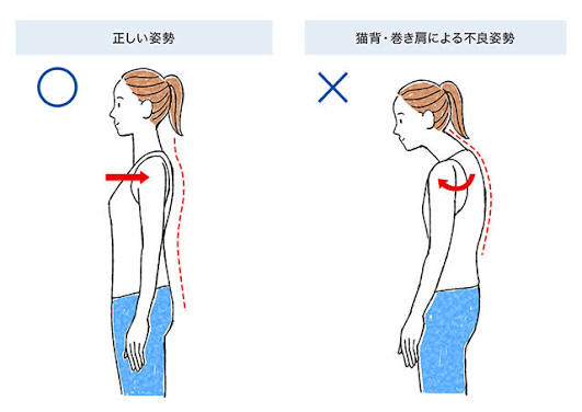 姿勢の比較